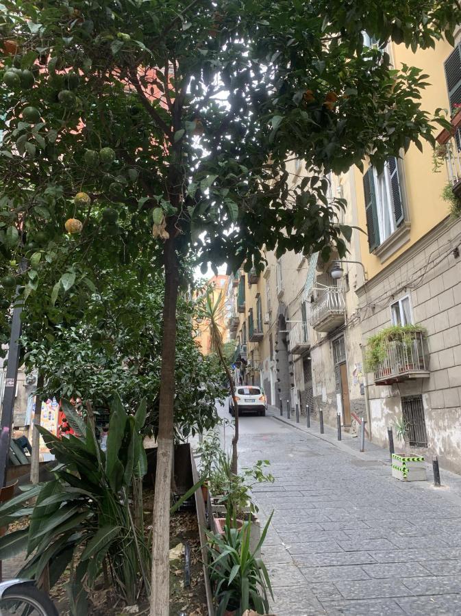 Gradoni 15 Casa Di Appartement